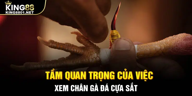 Tầm quan trọng của việc xem chân gà đá cựa sắt